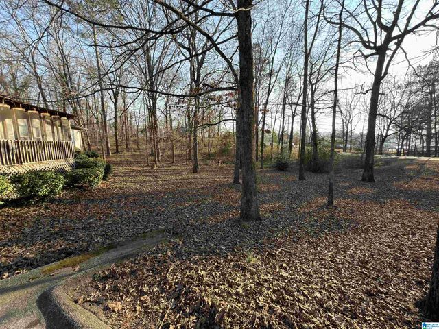 715 FUNDERBURG BEND ROAD, Pell City, AL 35128