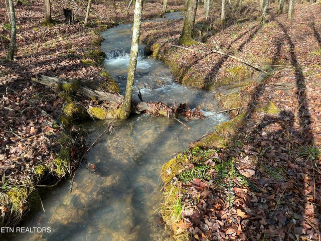 798 Christenson Rd, Deer Lodge, TN 37726