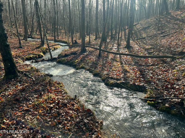 798 Christenson Rd, Deer Lodge, TN 37726