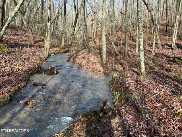 798 Christenson Rd, Deer Lodge, TN 37726