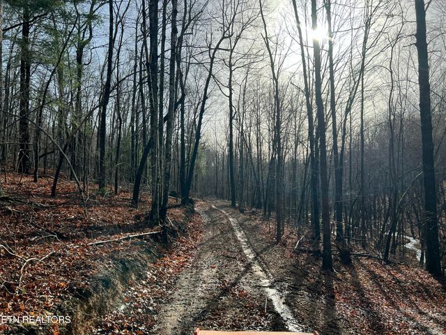 798 Christenson Rd, Deer Lodge, TN 37726