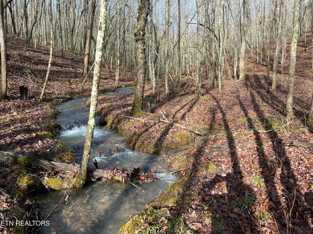798 Christenson Rd, Deer Lodge, TN 37726