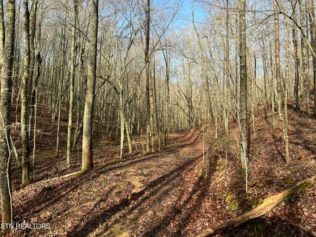 798 Christenson Rd, Deer Lodge, TN 37726
