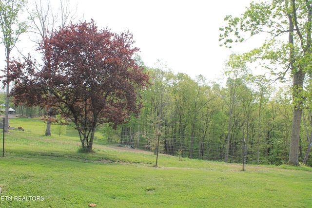 798 Christenson Rd, Deer Lodge, TN 37726