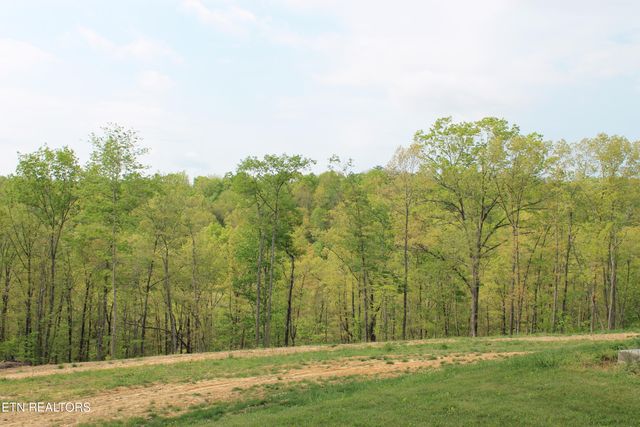 798 Christenson Rd, Deer Lodge, TN 37726