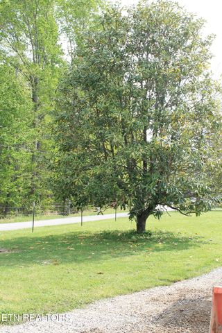 798 Christenson Rd, Deer Lodge, TN 37726