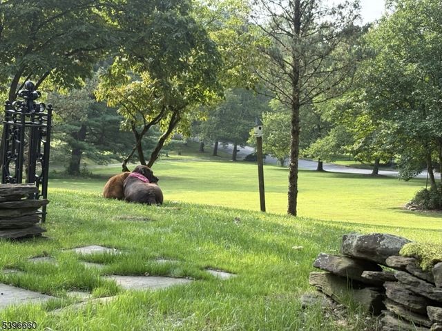 6 Fawn Ridge Rd, Clinton Twp., NJ 08833