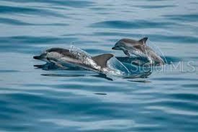 16 PARADISE LANE 101, St Petersburg, FL 33706