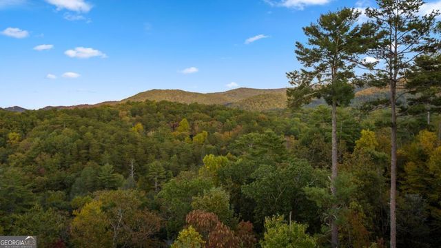 709 Laurel Creek Trail, Blue Ridge, GA 30513