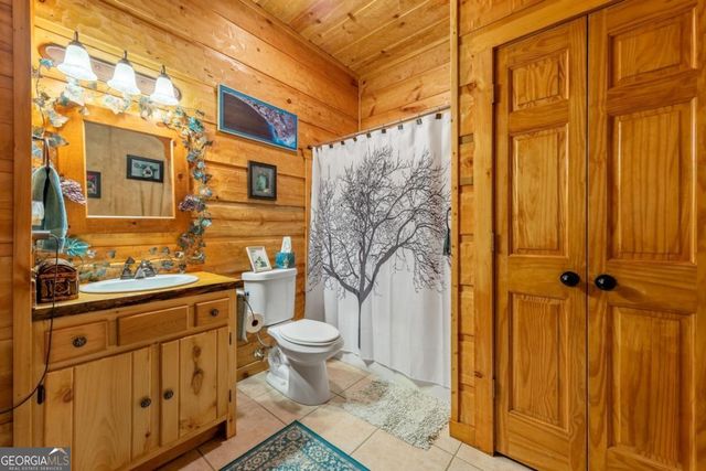 709 Laurel Creek Trail, Blue Ridge, GA 30513