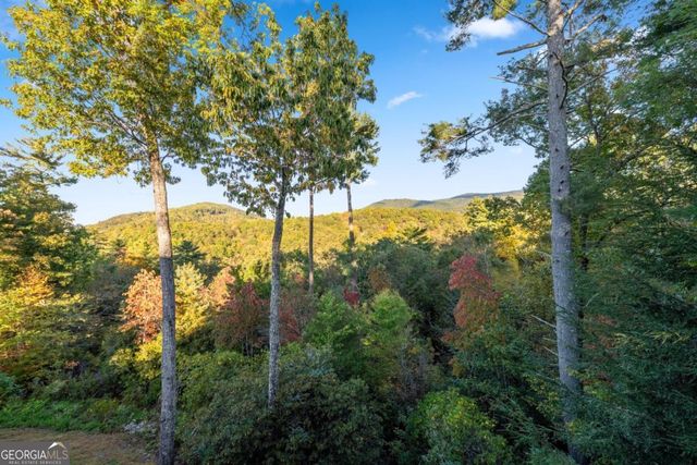 709 Laurel Creek Trail, Blue Ridge, GA 30513