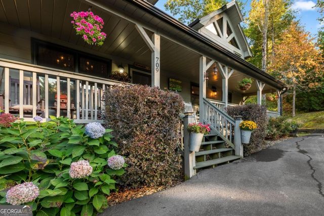 709 Laurel Creek Trail, Blue Ridge, GA 30513