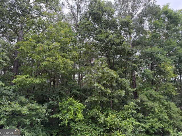 0 Cowan Drive, Cartersville, GA 30120