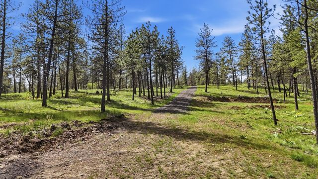 00 N Chris Ln, Medical Lake, WA 99022