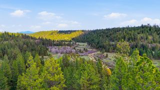 00 N Chris Ln, Medical Lake, WA 99022