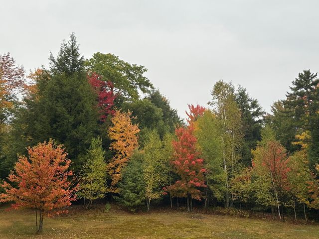 102 Strackville Road, Schuyler Falls, NY 12985