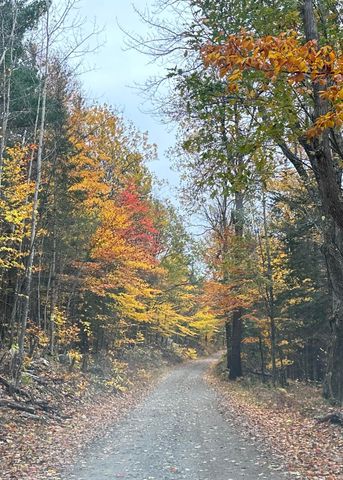 102 Strackville Road, Schuyler Falls, NY 12985