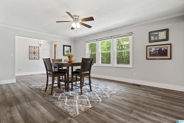 3419 OLD COAL CITY ROAD, Pell City, AL 35125