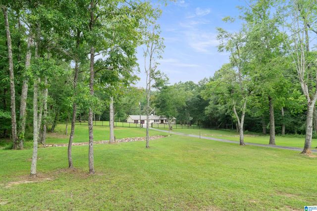 3419 OLD COAL CITY ROAD, Pell City, AL 35125