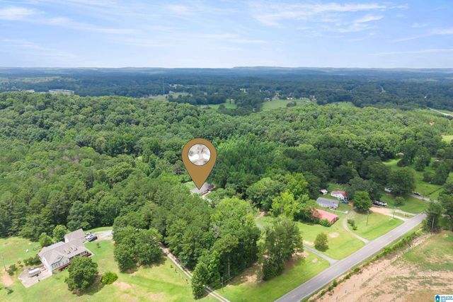3419 OLD COAL CITY ROAD, Pell City, AL 35125