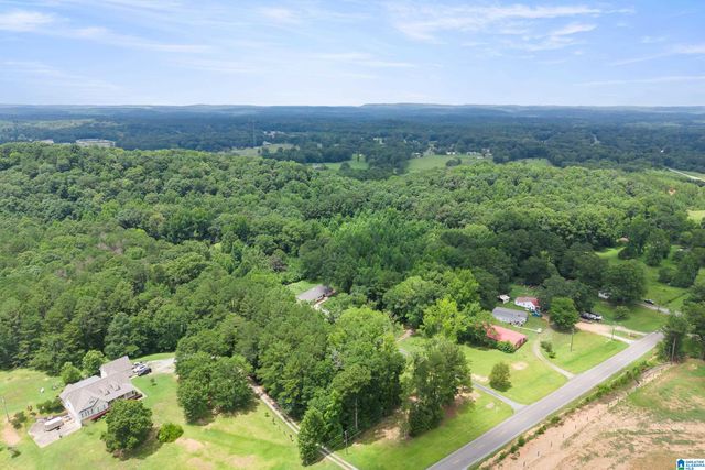 3419 OLD COAL CITY ROAD, Pell City, AL 35125