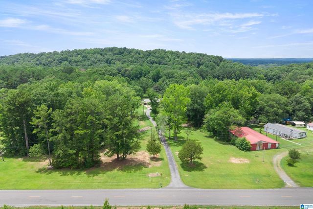 3419 OLD COAL CITY ROAD, Pell City, AL 35125