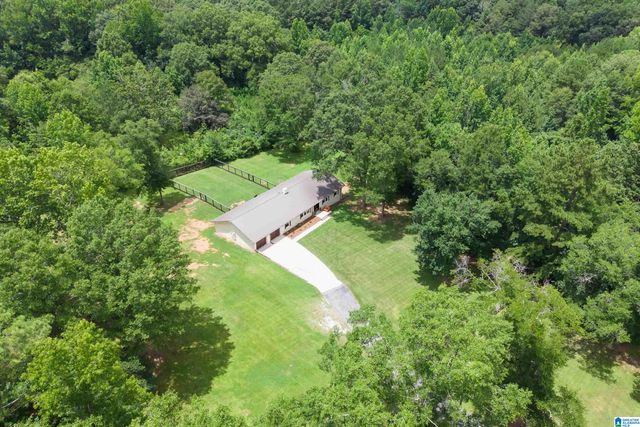3419 OLD COAL CITY ROAD, Pell City, AL 35125