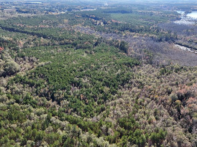 0 Mayrant Rd, Rembert, SC 29128