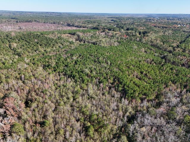 0 Mayrant Rd, Rembert, SC 29128