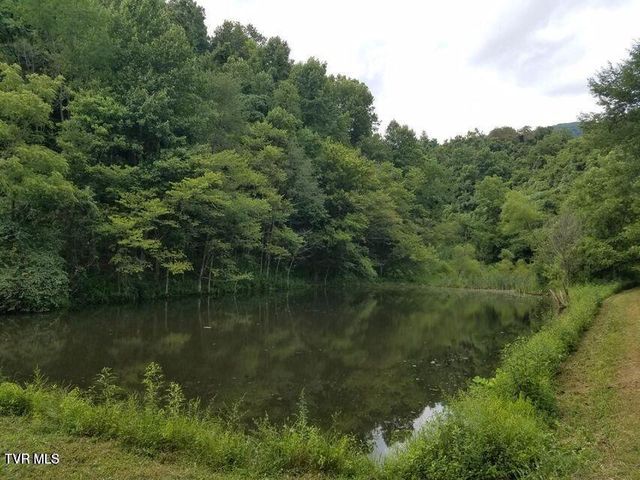 251 Fee Trail, Ewing, VA 24248