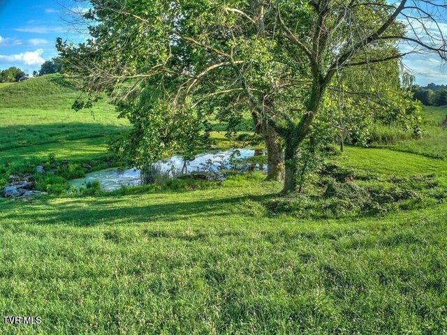 251 Fee Trail, Ewing, VA 24248