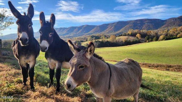 251 Fee Trail, Ewing, VA 24248