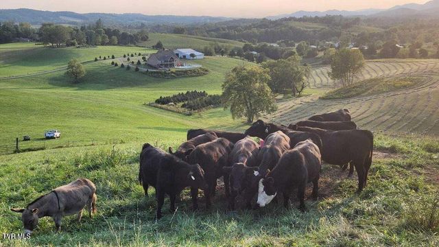 251 Fee Trail, Ewing, VA 24248