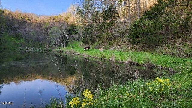 251 Fee Trail, Ewing, VA 24248