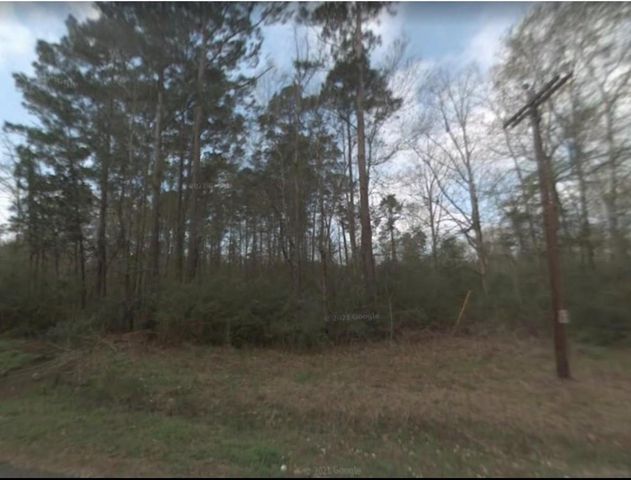 0 Chris Brent Drive, Livingston, TX 77351