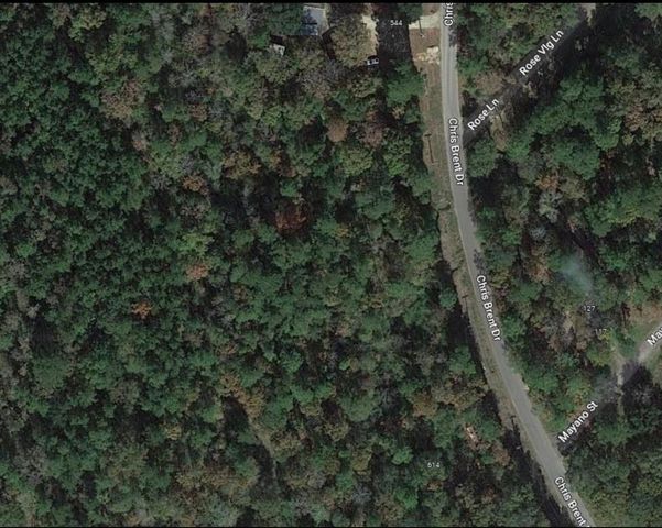 0 Chris Brent Drive, Livingston, TX 77351