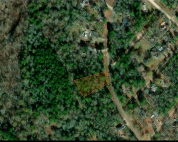 0 Chris Brent Drive, Livingston, TX 77351