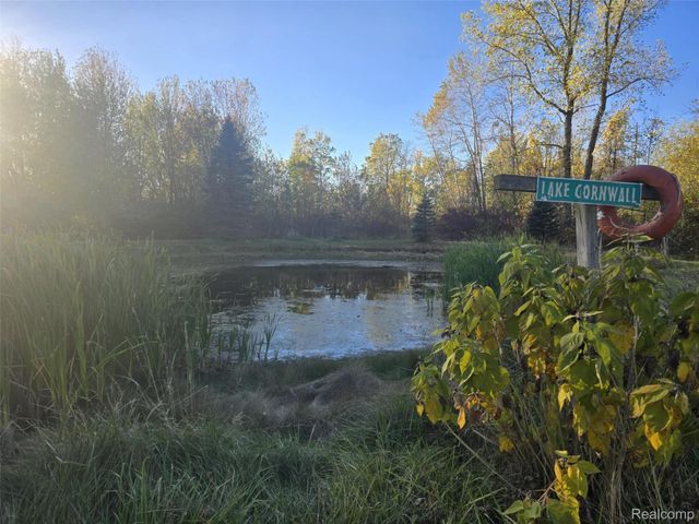 7896 Sanilac Avenue, Sanilac Township, MI 48450