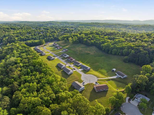 8498 Shawn Ridge Road, Harrison, TN 37341
