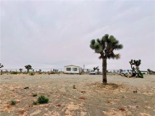 12452 Golden View, Pinon Hills, CA 92372