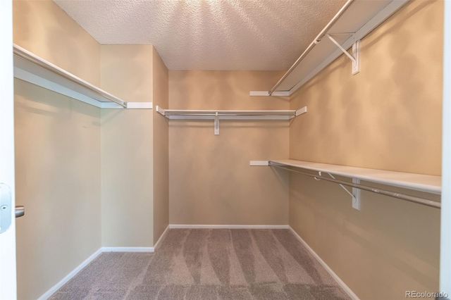 2620 W 110th Avenue, Denver, CO 80234