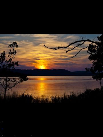 200 Big Bear Boulevard, Hollister, MO 65672