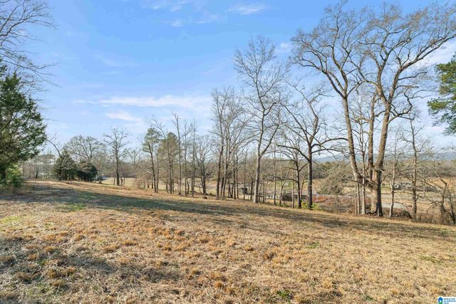 32960 US HIGHWAY 411, Ashville, AL 35953