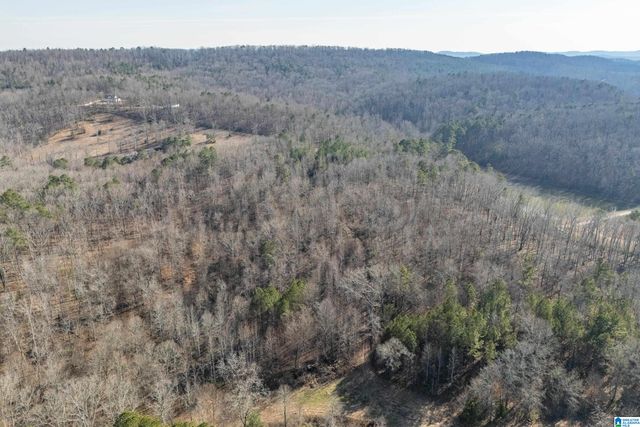 32960 US HIGHWAY 411, Ashville, AL 35953