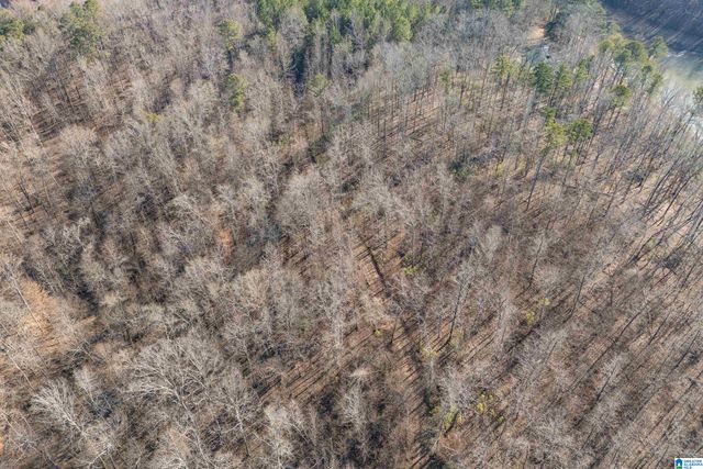 32960 US HIGHWAY 411, Ashville, AL 35953