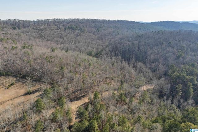 32960 US HIGHWAY 411, Ashville, AL 35953