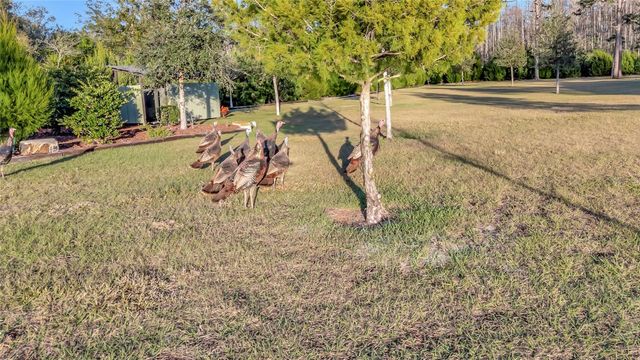 7330 CRABGRASS ROAD, St Cloud, FL 34773