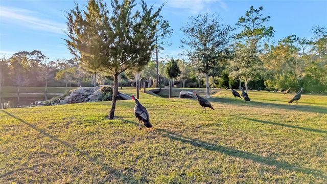7330 CRABGRASS ROAD, St Cloud, FL 34773