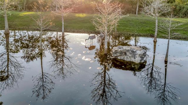 7330 CRABGRASS ROAD, St Cloud, FL 34773