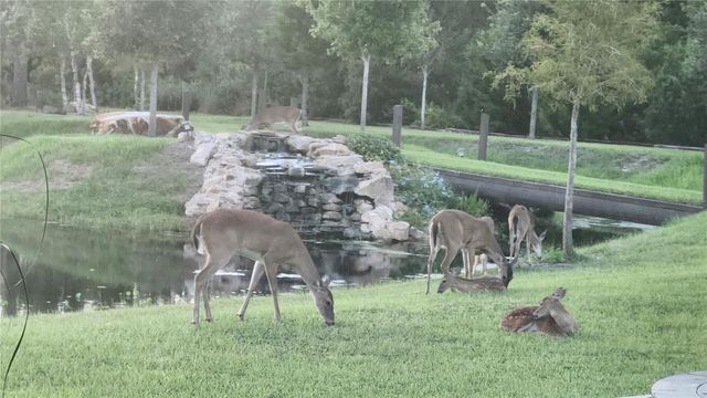 7330 CRABGRASS ROAD, St Cloud, FL 34773